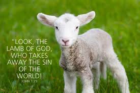 lamb of God